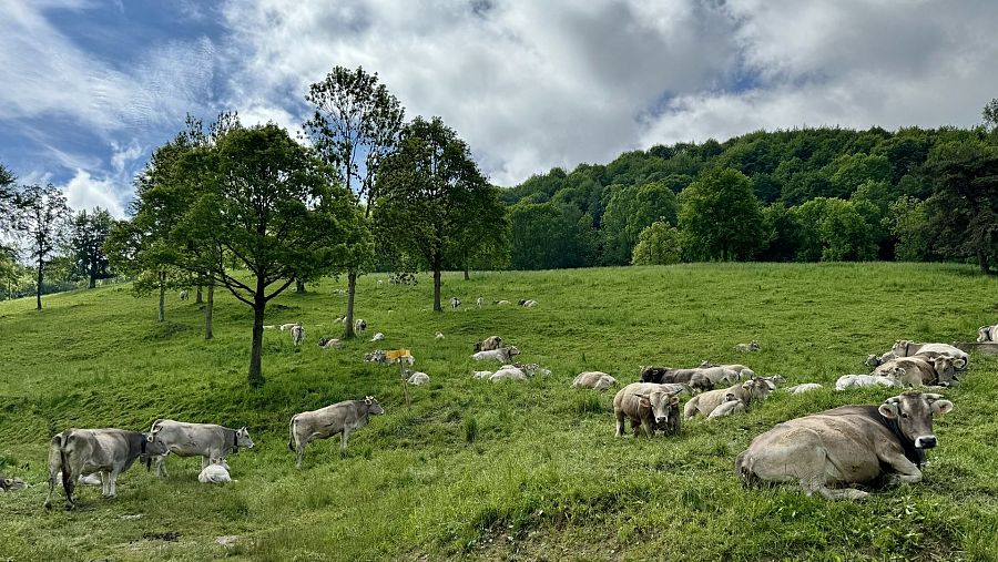 Fotografía del paraje de Ripoll, en Girona