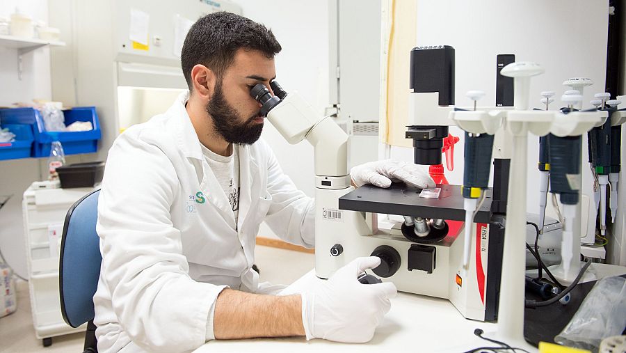 Hospital de Parapléjicos: estudio de la médula espinal.