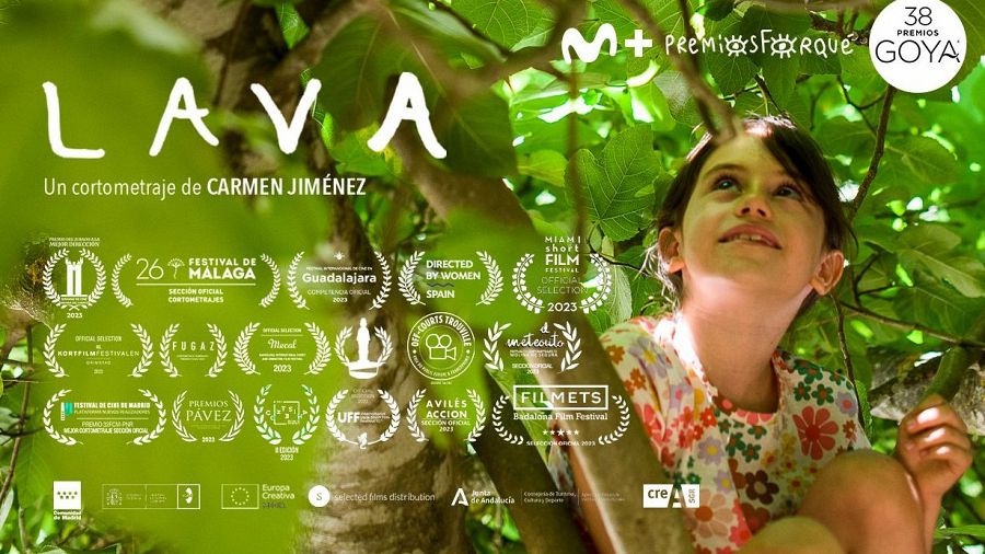 Cartel del corto 'Lava'