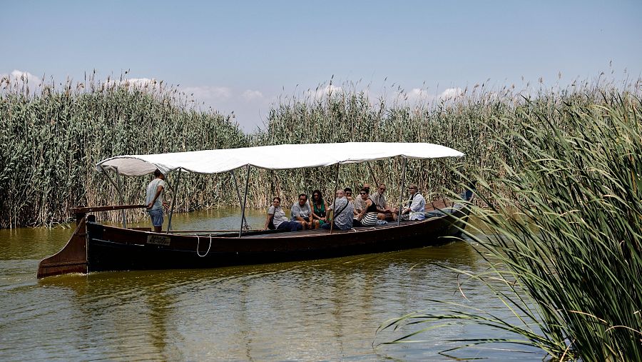 Los jurados de los Premios Rei Jaume I dan su apoyo unánime  a que la Albufera sea declarada Reserva de la Biosfera