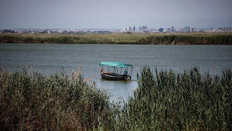 Los jurados de los Premios Rei Jaume I dan su apoyo unánime  a que la Albufera sea declarada Reserva de la Biosfera