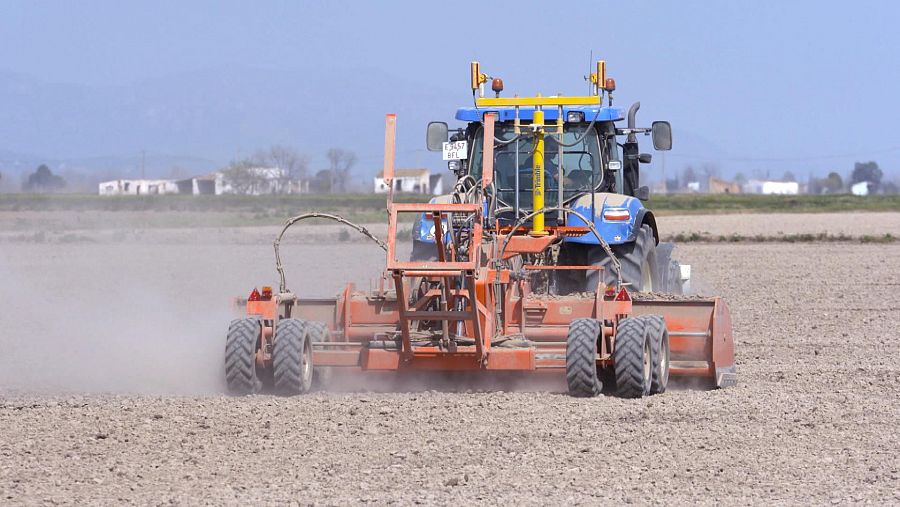 Un tractor trabaja en las tierras secas del Delta del Ebro, en Tarragona.