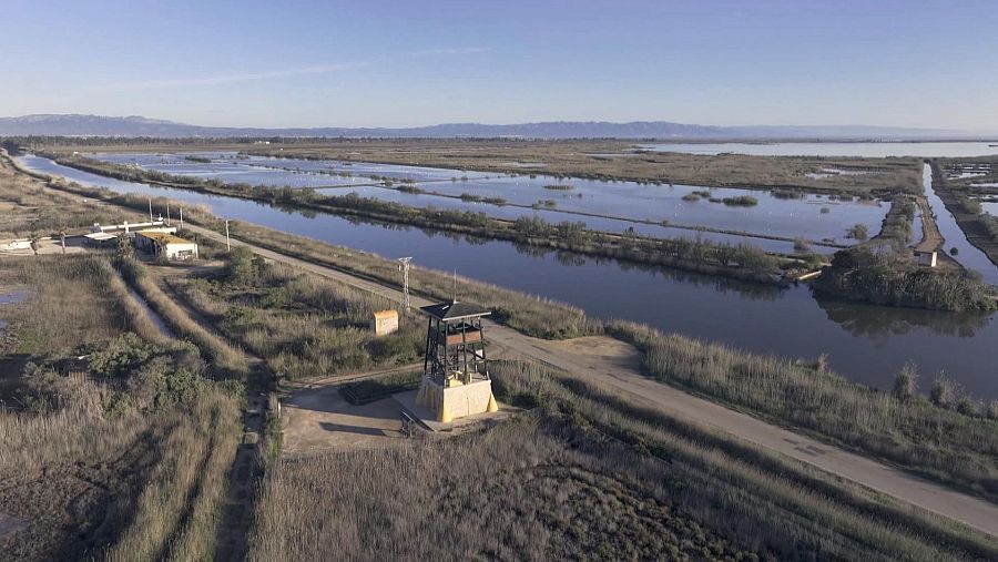 Isla de Buda, desembocadura del río Ebro.