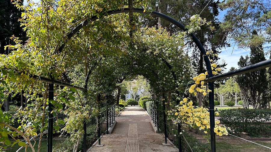 La vuelta al mundo en 80 rosas