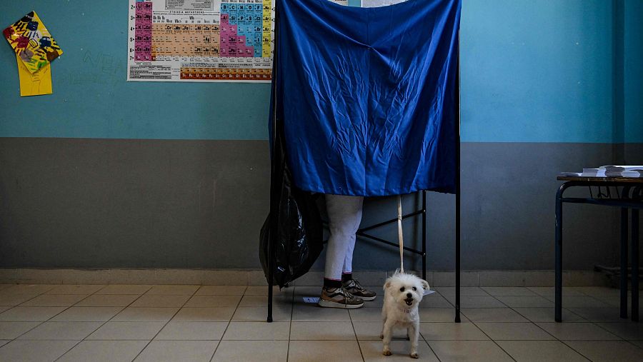 Elecciones europeas: Un perro espera a su dueño mientars vota