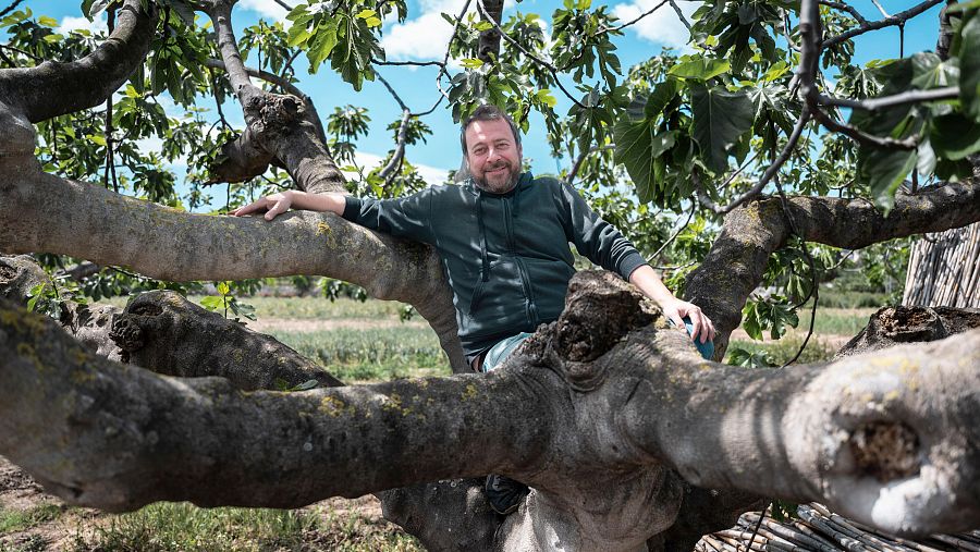 Pere Miquel a sobre d'un arbre
