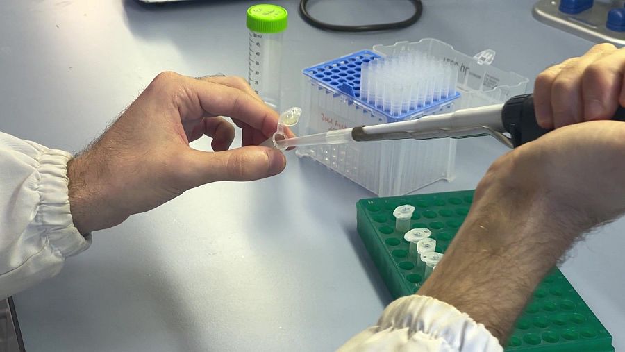 Experiments de cara al futur