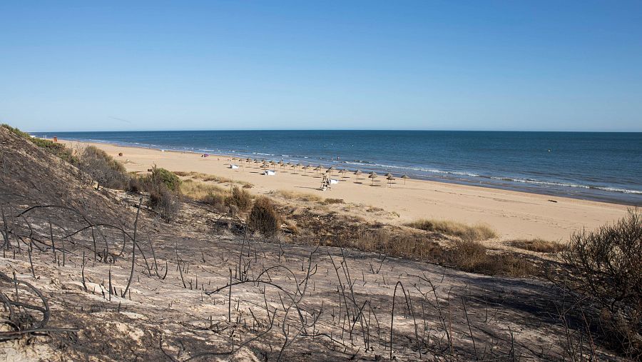 Playa de Doñana, Almonte (Huelva)