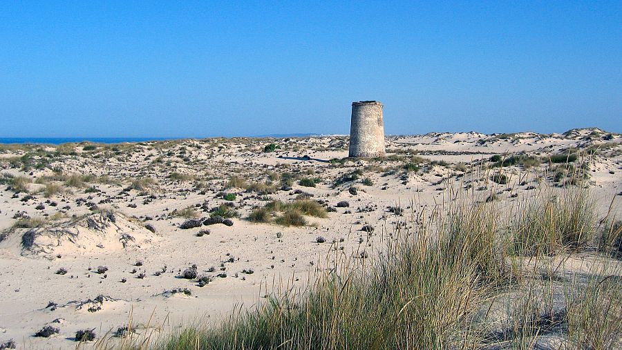 Playa de Castilla, Almonte (Huelva)