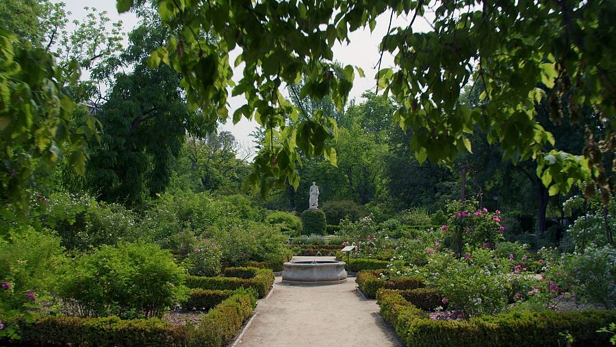 Real Jardín Botánico de Madrid