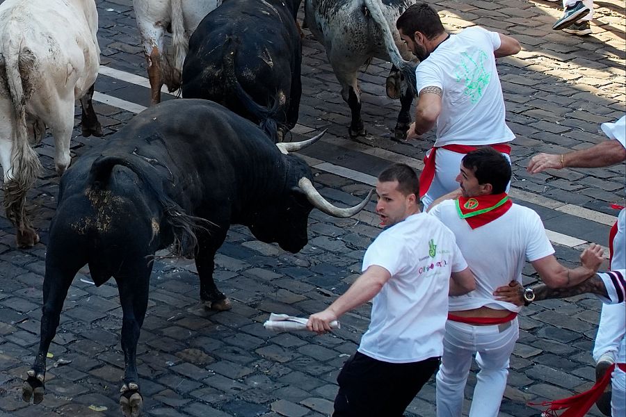 Mejores imágenes del segundo encierro de San Fermín 2024: los veloces astados de Cebada Gago han tenido un comportamiento noble