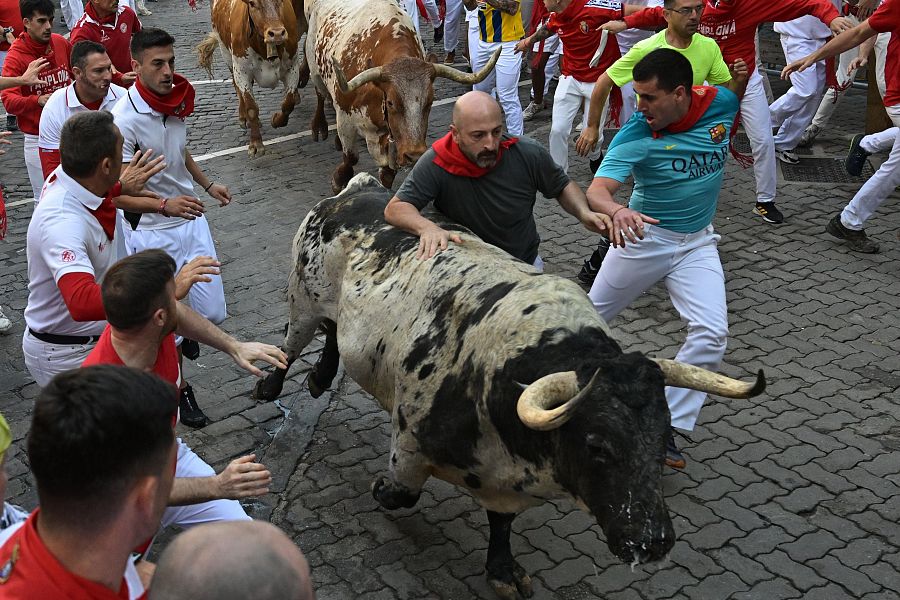 Mejores imágenes del segundo encierro de San Fermín 2024: los toros de Cebada Gago han llamado la atención por su estampa