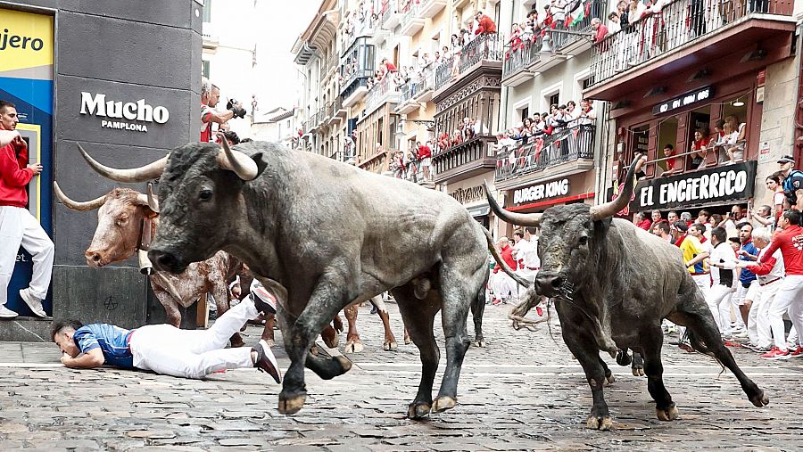 Los mozos son perseguidos por los toros de la ganadería abulense de José Escolar Gil durante el séptimo encierro de los Sanfermines 2024 este sábado en Pamplona. EFE/Jesús Diges