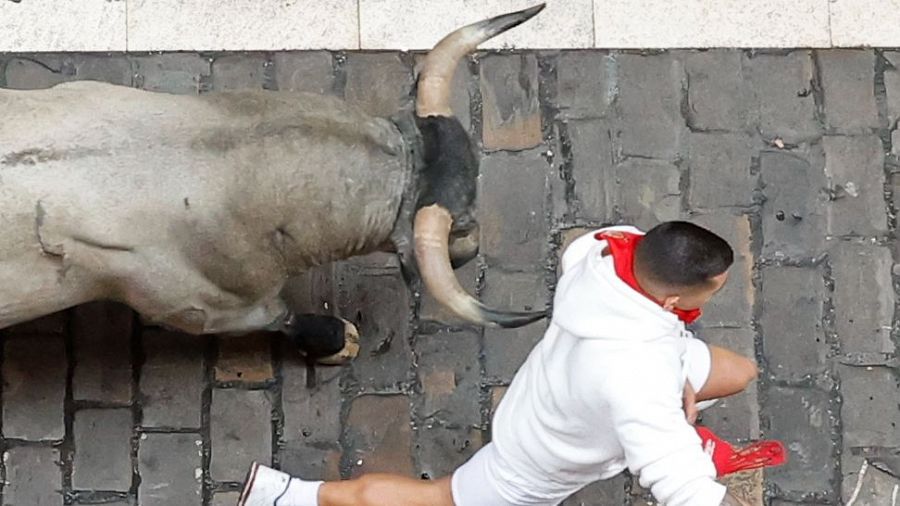 Los mozos son perseguidos por los toros de la ganadería abulense de José Escolar Gil durante el séptimo encierro de los Sanfermines 2024 este sábado en Pamplona. EFE/Villar López