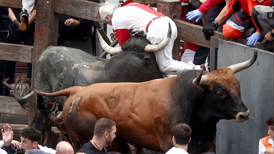 Un mozo es embestido por uno de los toros de la ganadería sevillana de Miura durante el último encierro de los Sanfermines 2024, este domingo, en Pamplona. EFE/ Jesús Diges