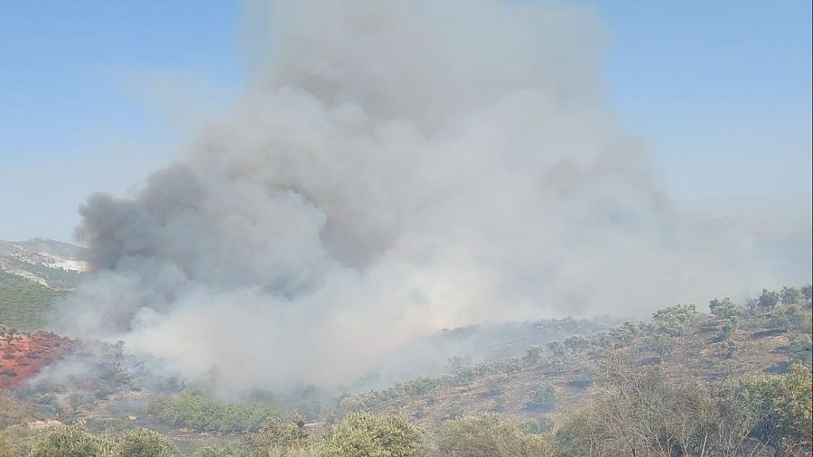 Imagen del incendio en Víznar (Granada).