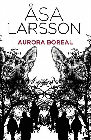 'Aurora boreal'