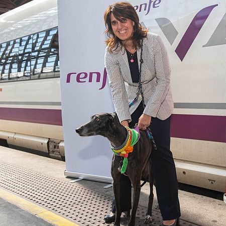 RENFE permite viajar con mascotas de hasta 40 kilos