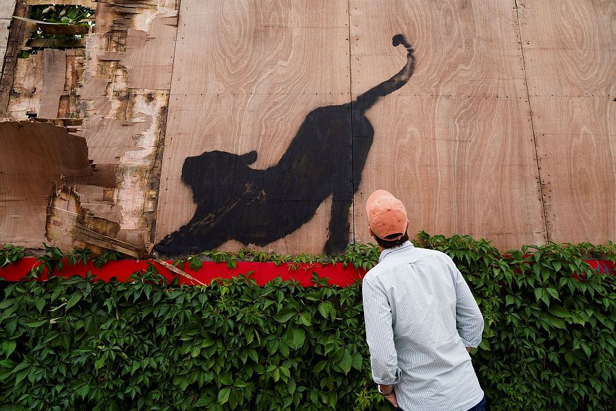 Una persona contempla uno de los grafitis de Banksy (REUTERS/Maja Smiejkowska)