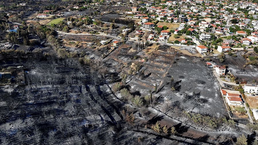 Un dron muestra una zona forestal calcinada tras el incendio forestal en la localidad griega de Varnavas. Continúan por cuarto día consecutivo los esfuerzos por frenar los incendios que cercan Atenas.