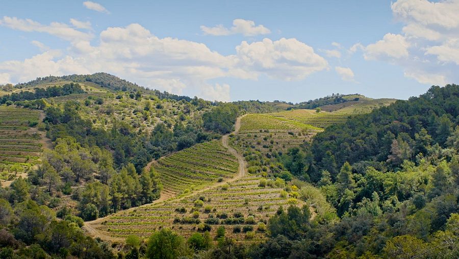 El Priorat