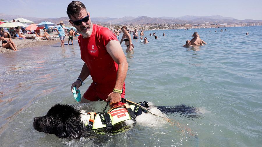 Perros socorristas en Vélez-Málaga