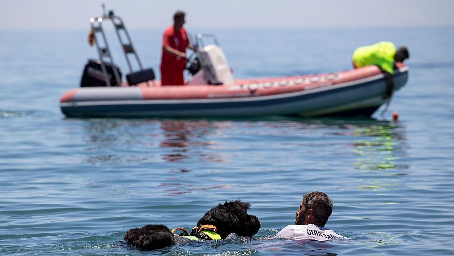 Perros socorristas en las playas de Vélez-Málaga