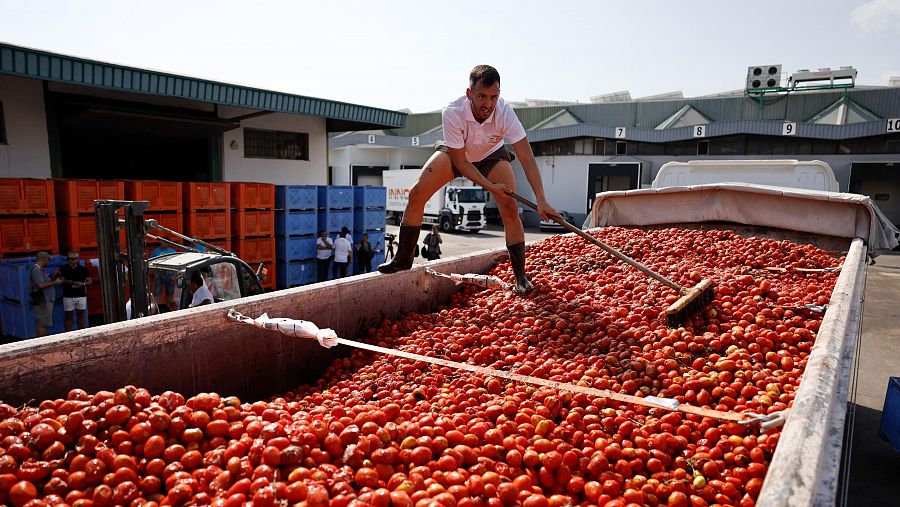 Tomatina 2024: Buñol se tiñe de rojo