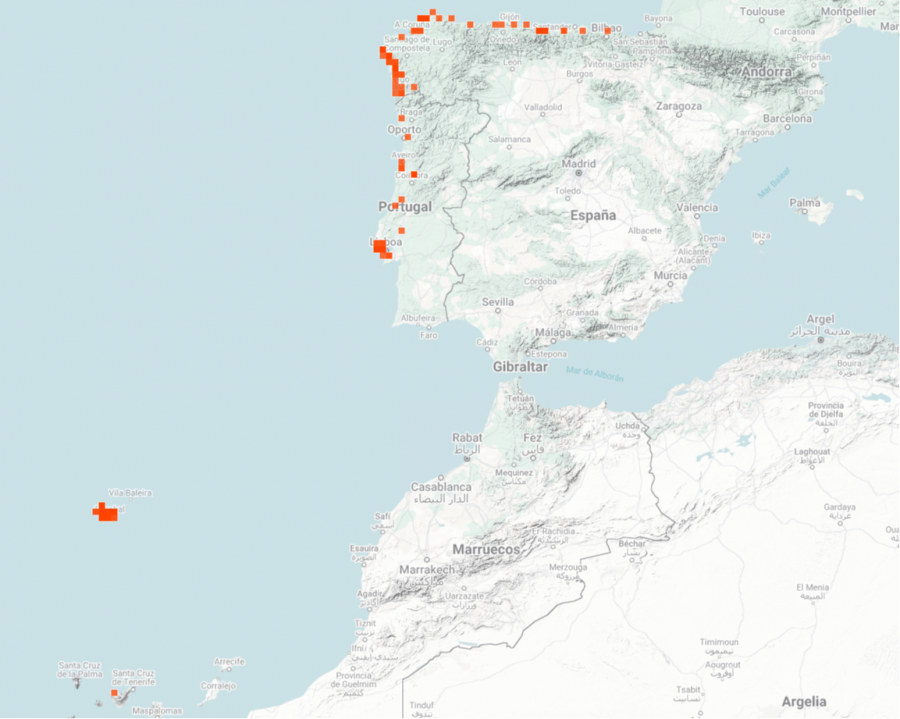 Mapa del jengibre hawaiano en España