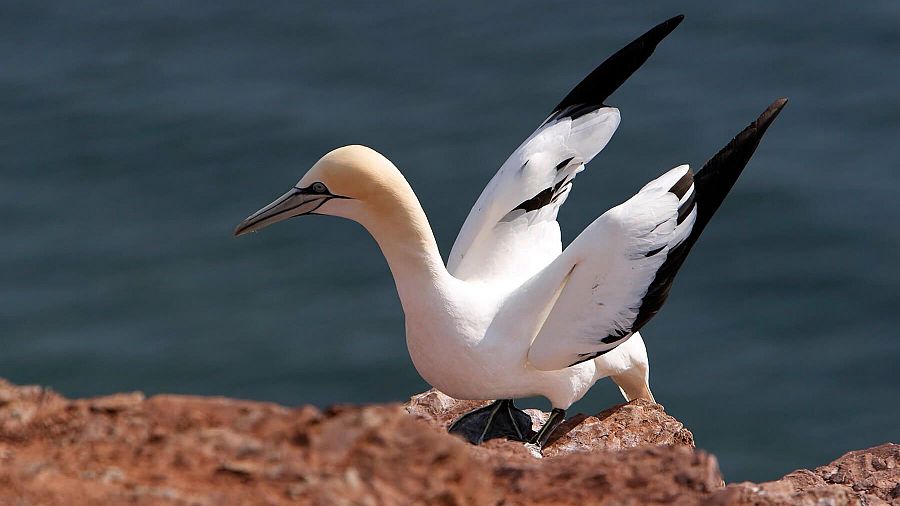 El Geoparque de Costa Quebrada se unirá a la red mundial de la Unesco