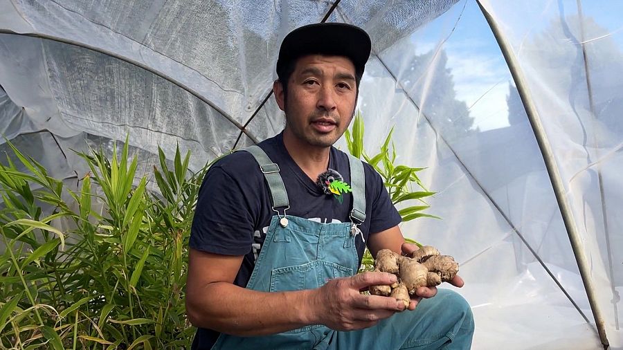 l'agricultor Hidenori Futami