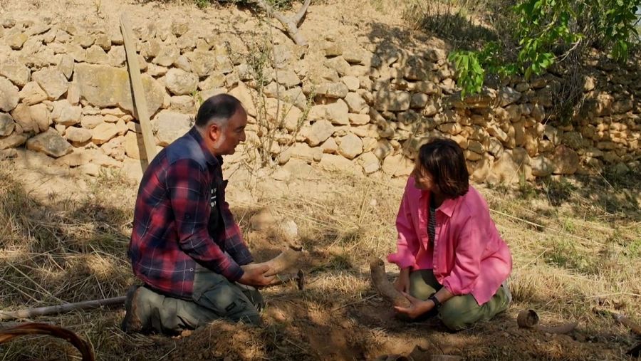 Agricultura biodinàmica al Priorat: tractar la terra com un ésser viu