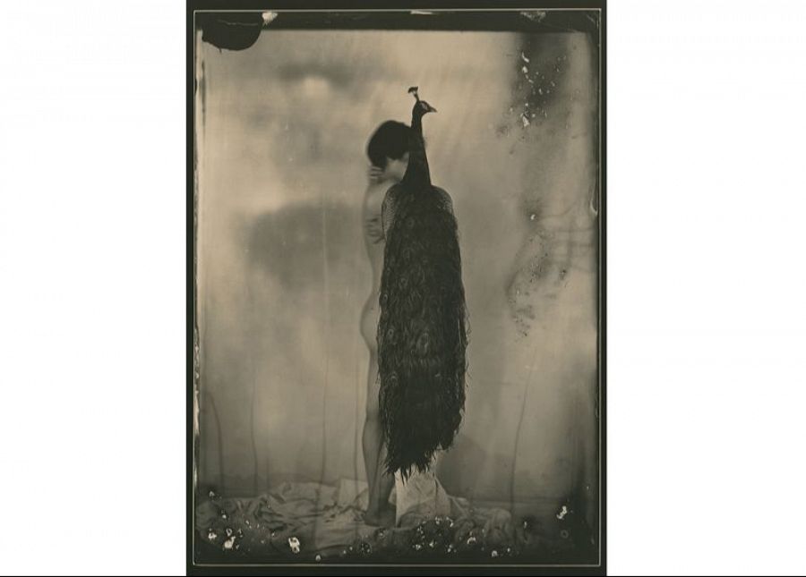 Ambrotipo de Masao Yamamoto