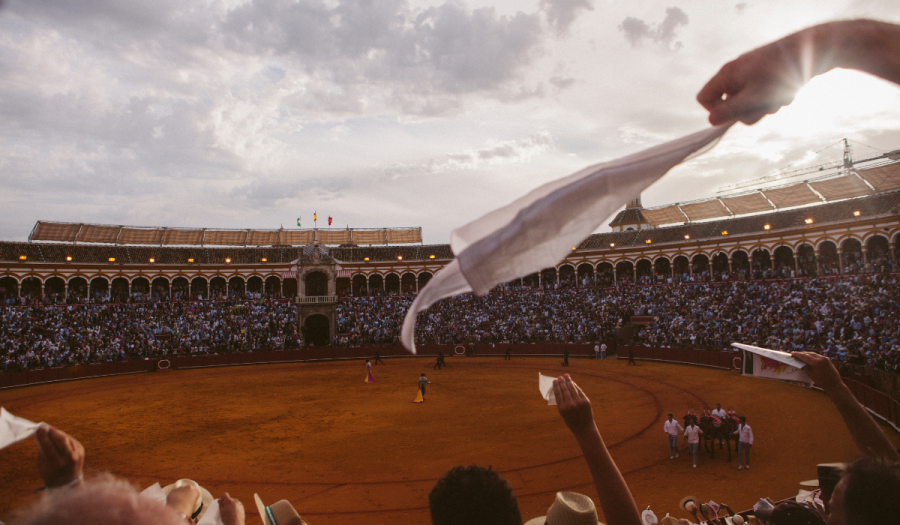 Fotograma de 'Tardes de soledad'