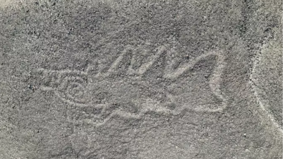 Geoglifo en forma de ballena sosteniendo un cuchillo hallado en La Pampa de Nasca (Perú)