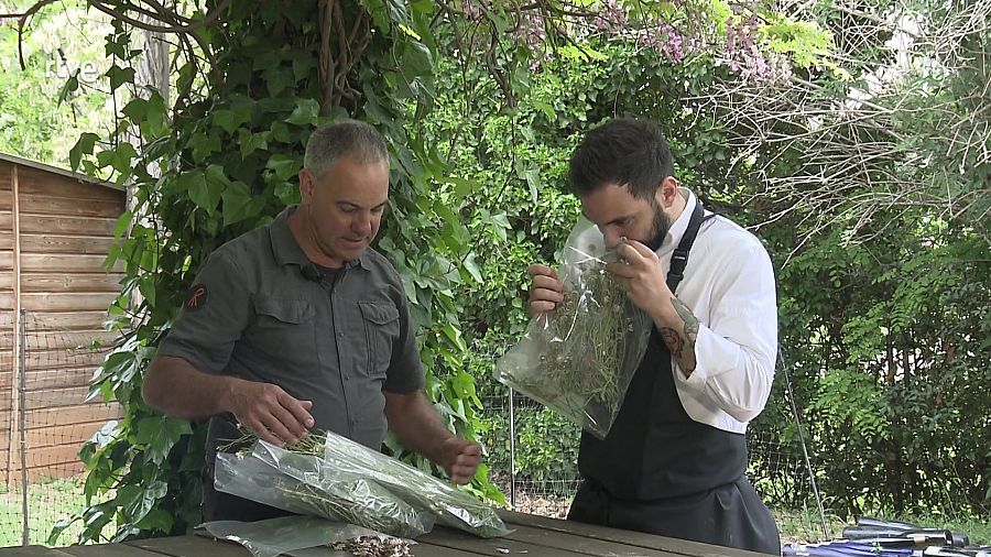 'Va de verd' visita el departament d'I+D d'El Celler de Can Roca