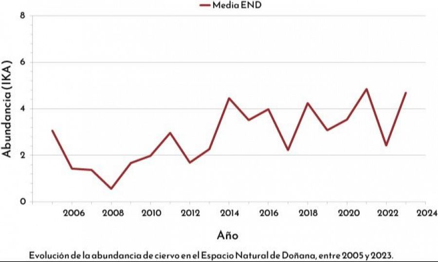 La población de ciervos de Doñana alcanza la abundancia previa a la sequía de 2005