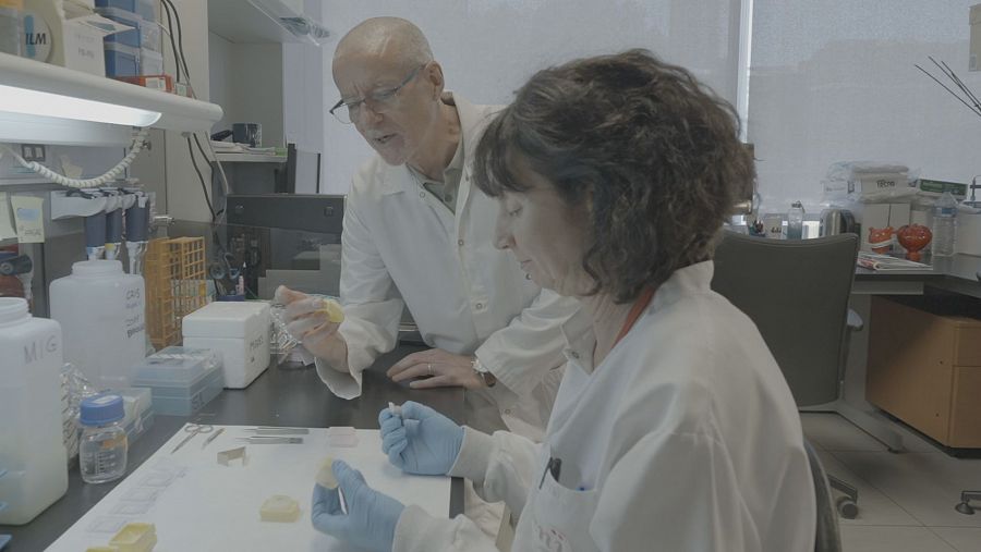 Vicente Andrés lleva 15 años investigando la progeria.