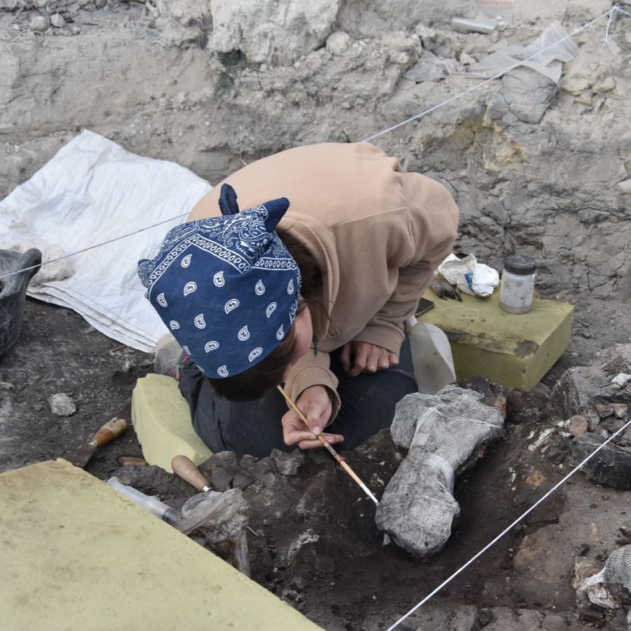 Arqueóloga realizando labores de excavación en el entorno