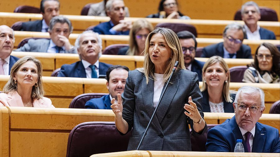 La senadora del PP Alicia García interviene durante la sesión plenaria