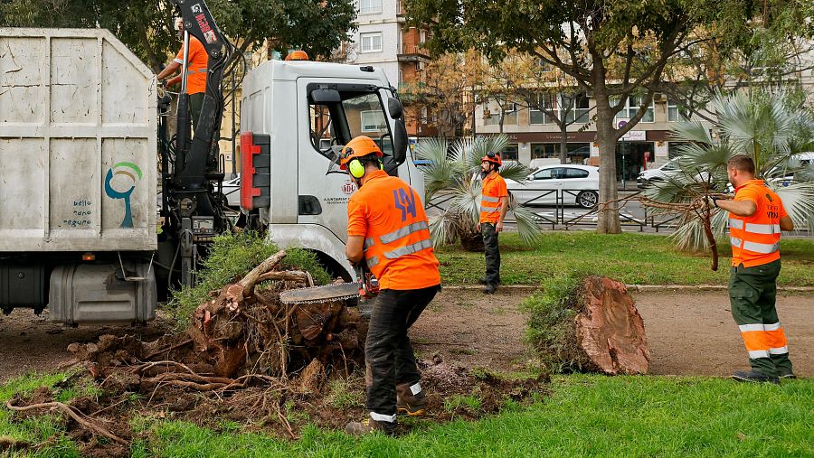 Retiran ramas y árboles caídos en los jardines de Valencia