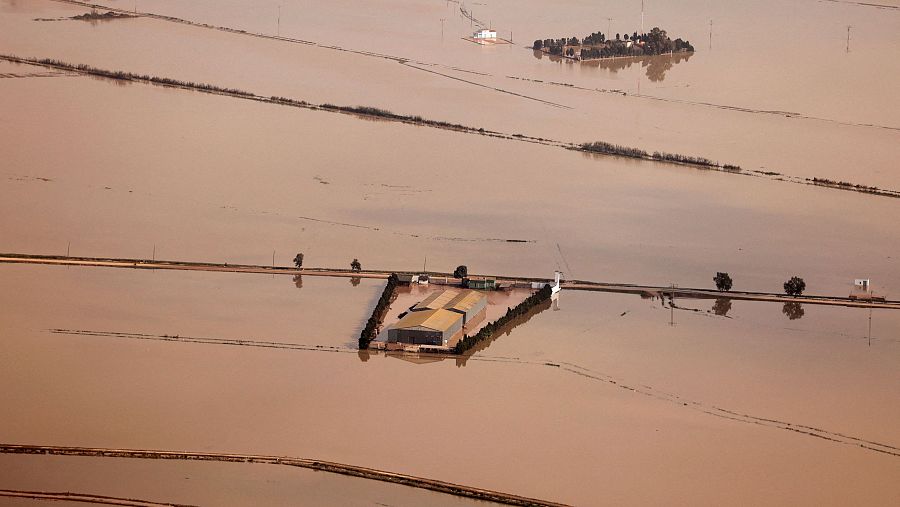 Arrozales Albufera Valencia.