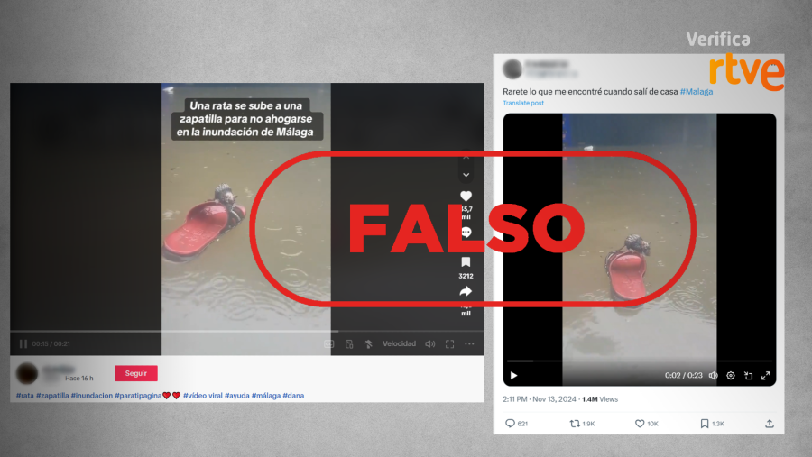 Verificación de RTVE sobre un vídeo viral falso de una rata en una zapatilla, que se atribuye a las inundaciones de Málaga.