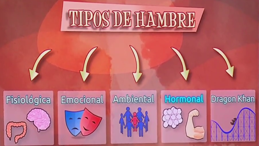 Infografía que describe cinco tipos de hambre: fisiológica, emocional, ambiental, hormonal y Dragon Khan.