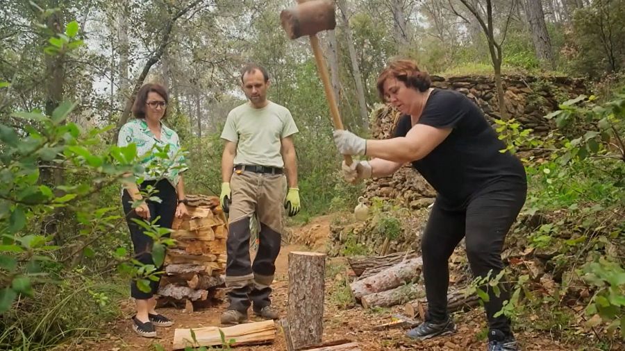 Estelladors, l’ofici d'extreure llenya del bosc