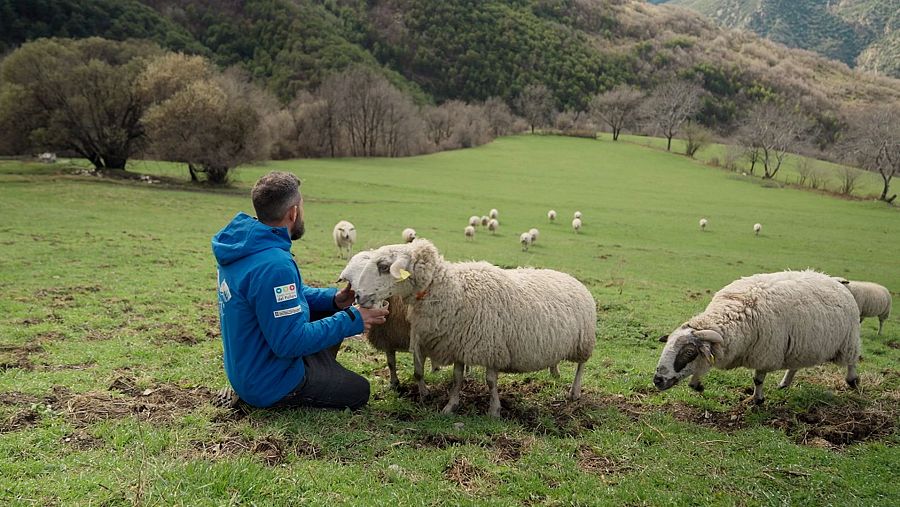 Miquel Blasi, ramader de Roní, participa en el programa 'En router'