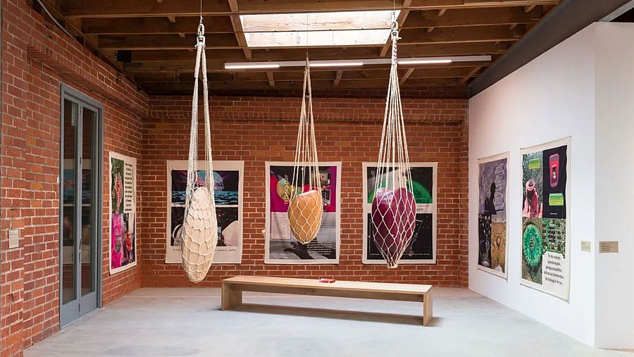 Exposición 'Ñañay Kculli...' (2024) de Carolina Caycedo: esculturas colgantes, obras enmarcadas y banco de madera en sala con paredes de ladrillo y techo con tragaluces.