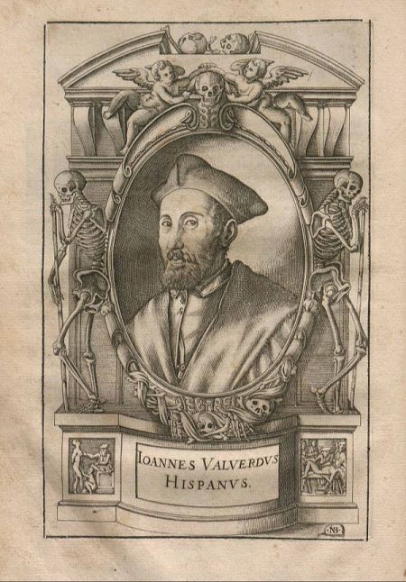 El médico palentino Juan Valverde de Amusco