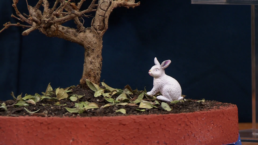 Recreación de una liebre ártica cuando no hay nieve