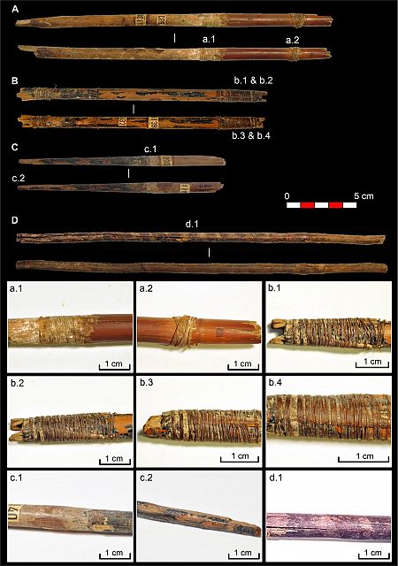 Un estudio liderado por la UAB identifica las cuerdas de arco 